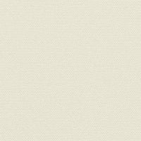 Tenda da Sole Laterale Retrattile Crema 100x500 cm 4004385