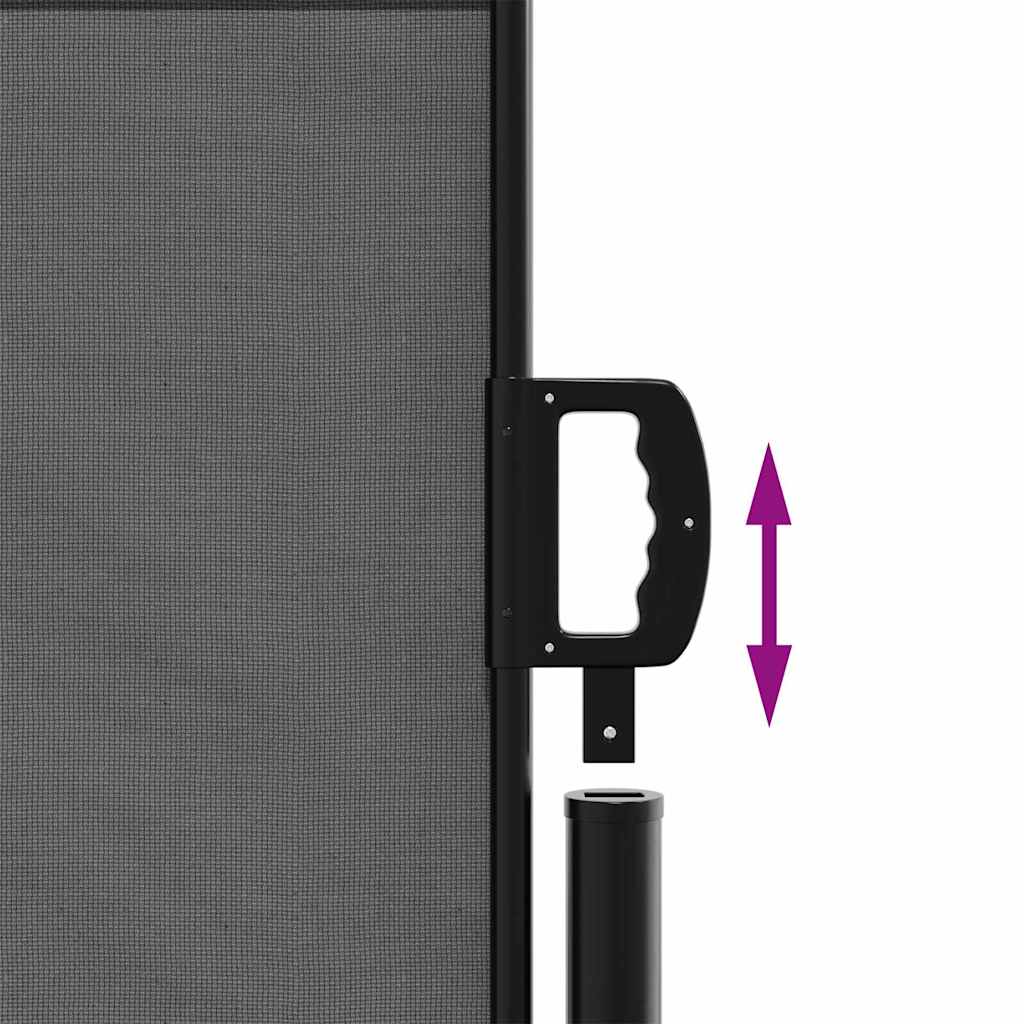 Tenda da sole laterale retrattile antracite 140x500 cm 4004428