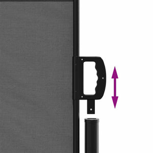 Tenda da sole laterale retrattile antracite 140x500 cm 4004428