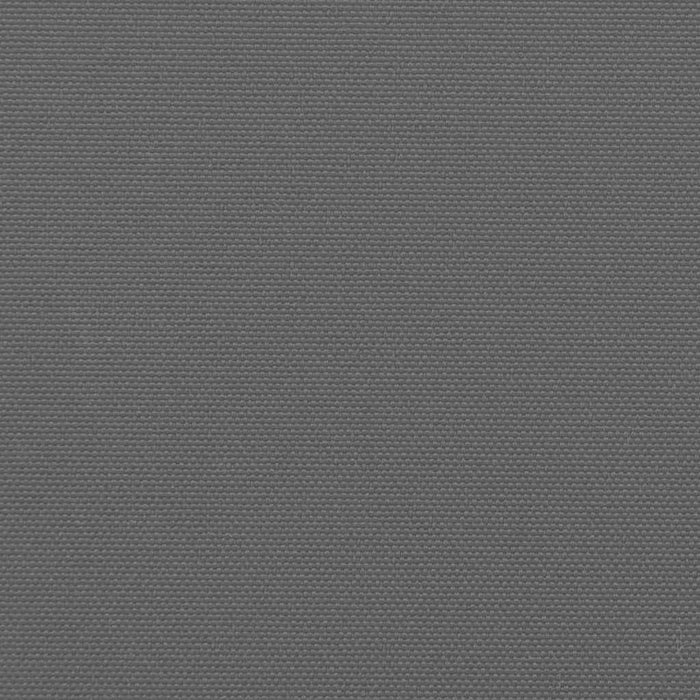 Tenda da sole laterale retrattile antracite 140x500 cm 4004428