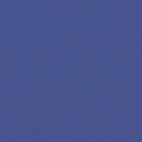 Tenda da Sole Laterale Retrattile Blu 160x500 cm 4004431