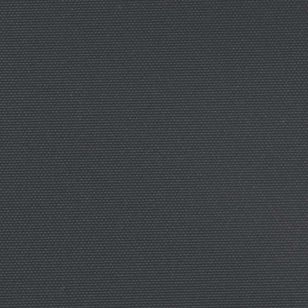 vidaXL Tenda da Sole Laterale Retrattile Nera 120x600 cm