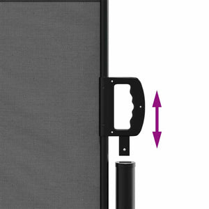 Tenda da sole laterale retrattile antracite 120x600 cm 4004503