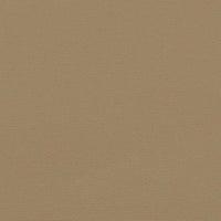 Tenda da Sole Laterale Retrattile Tortora 140x600 cm