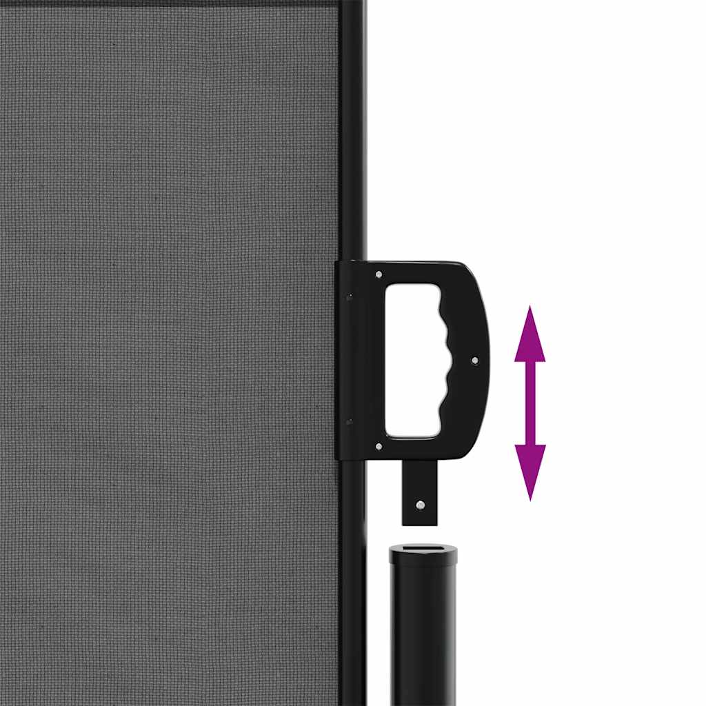 Tenda da sole laterale retrattile antracite 140x600 cm 4004518