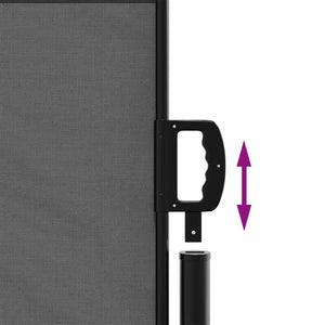 Tenda da sole laterale retrattile antracite 140x600 cm 4004518