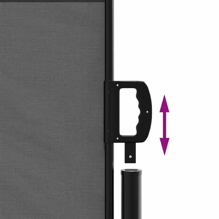 Tenda da sole laterale retrattile antracite 140x600 cm 4004518