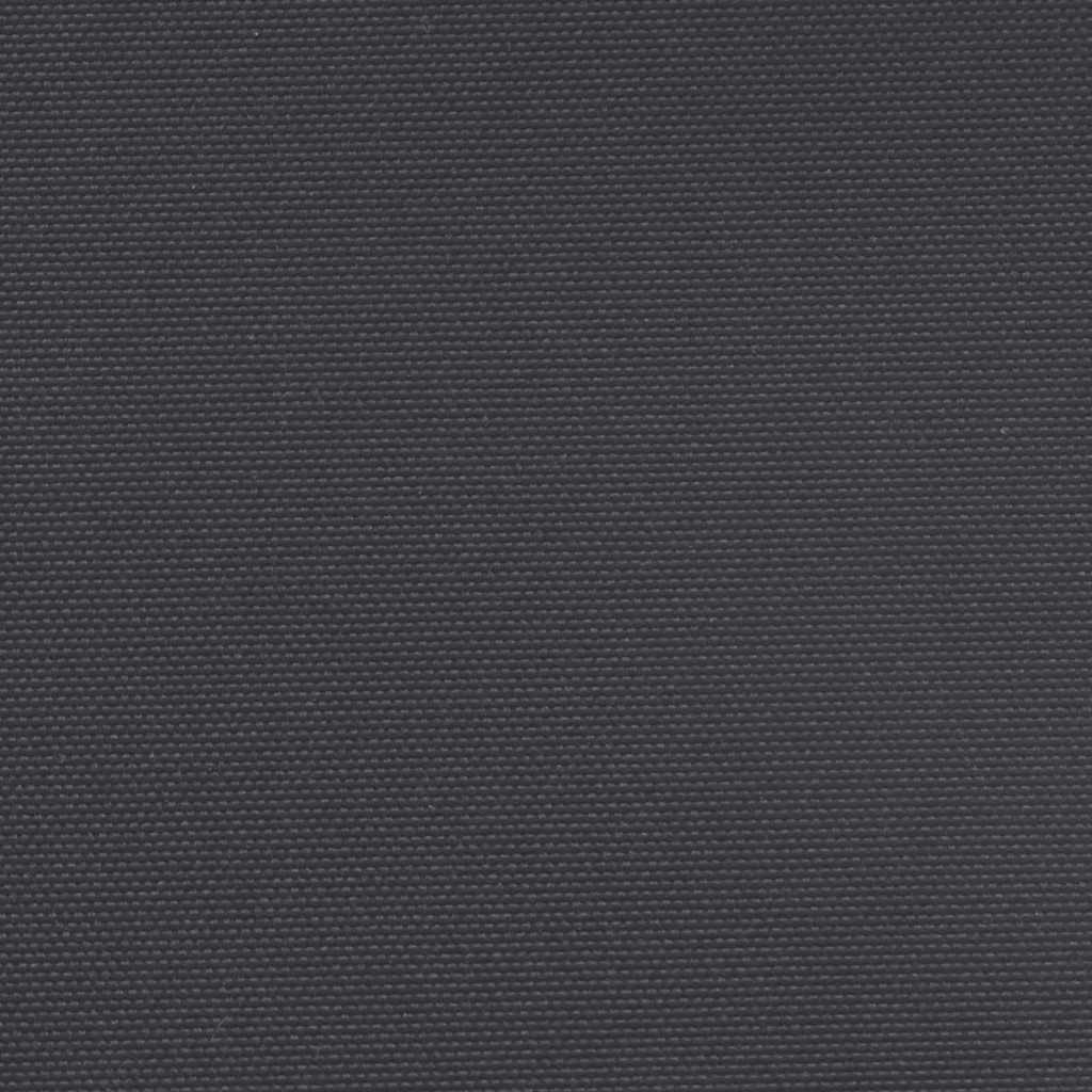Tenda da Sole Laterale Retrattile Nera 160x600 cm 4004519