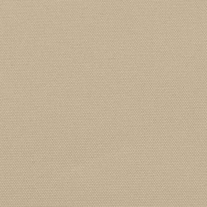 Tenda da Sole Laterale Retrattile Beige 160x600 cm 4004525