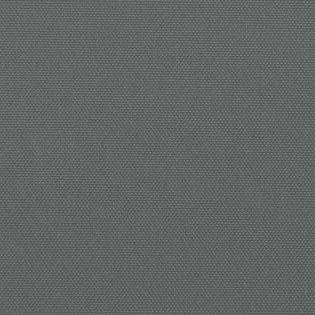 Tenda da Sole Laterale Retrattile Antracite 160x600 cm 4004533