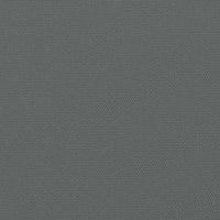 Tenda da Sole Laterale Retrattile Antracite 160x600 cm 4004533