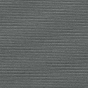 Tenda da Sole Laterale Retrattile Antracite 160x600 cm 4004533