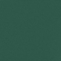 Tenda da Sole Laterale Retrattile Verde Scuro 180x600 cm