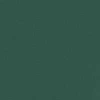 Tenda da Sole Laterale Retrattile Verde Scuro 220x600 cm 4004575