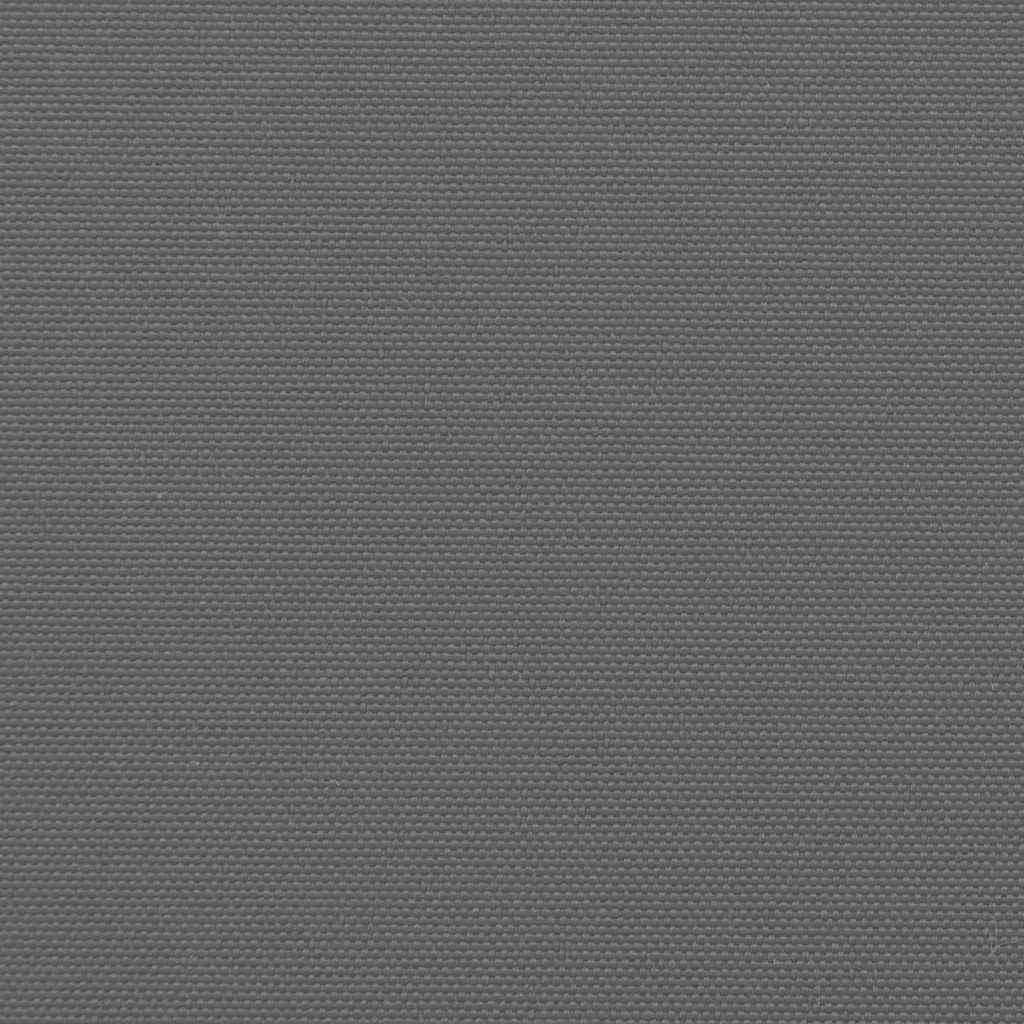 Tenda da Sole Laterale Retrattile Antracite 220x600 cm 4004578