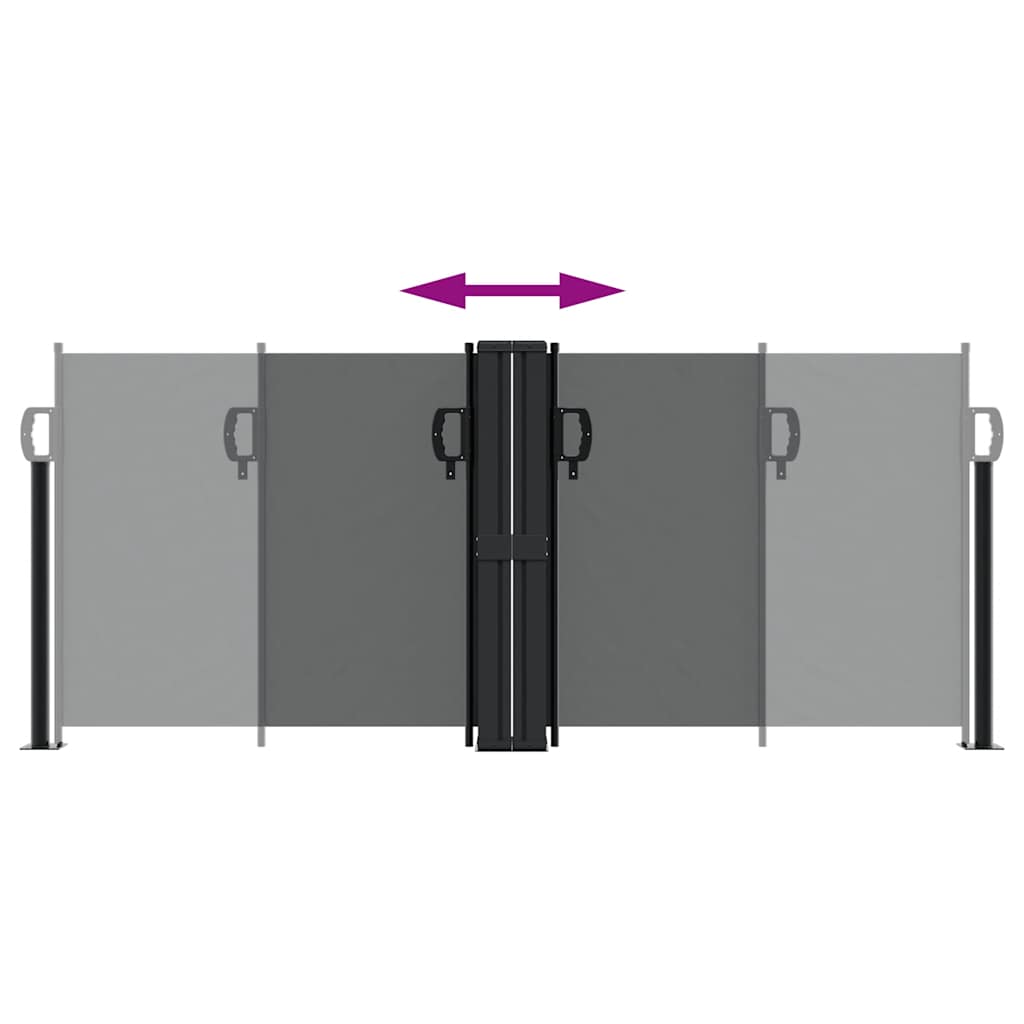 Tenda da Sole Laterale Retrattile Antracite 100x600 cm 4004583