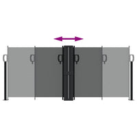 Tenda da Sole Laterale Retrattile Antracite 100x600 cm 4004583