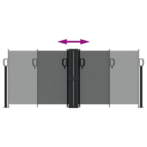 Tenda da Sole Laterale Retrattile Antracite 100x600 cm 4004583