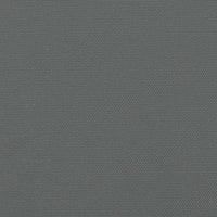 Tenda da Sole Laterale Retrattile Antracite 100x600 cm 4004583