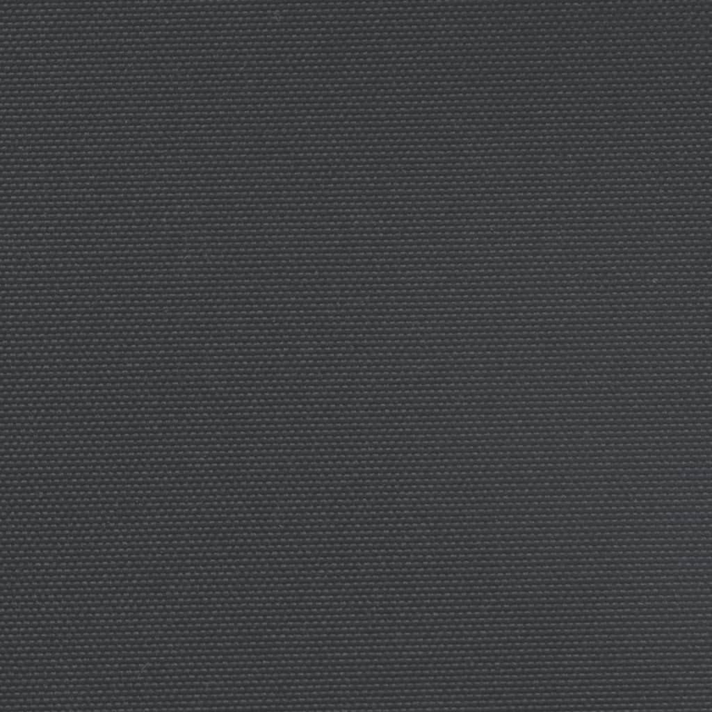 Tenda da Sole Laterale Retrattile Nera 120x600 cm 4004594