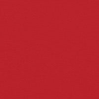 Tenda da Sole Laterale Retrattile Rossa 120x600 cm 4004597