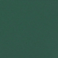 Tenda da Sole Laterale Retrattile Verde Scuro 120x600 cm 4004605