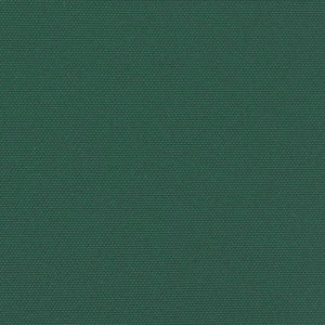 Tenda da Sole Laterale Retrattile Verde Scuro 120x600 cm 4004605