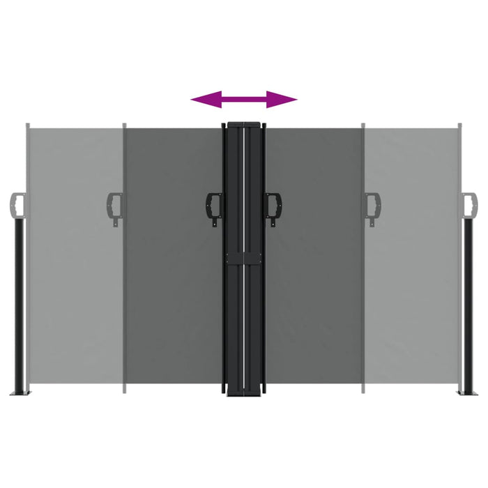 Tenda da Sole Laterale Retrattile Antracite 140x600 cm 4004613