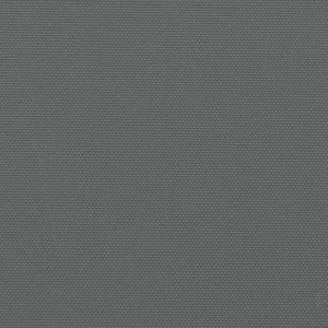 Tenda da Sole Laterale Retrattile Antracite 160x600 cm 4004628