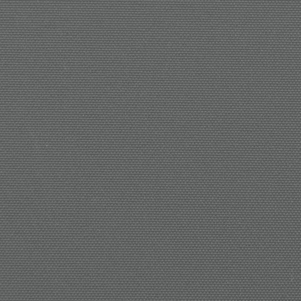 Tenda da Sole Laterale Retrattile Antracite 160x600 cm