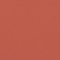 Tenda da Sole Laterale Retrattile Terracotta 160x600 cm 4004633