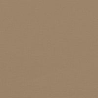 Tenda da Sole Laterale Retrattile Tortora 160x600 cm