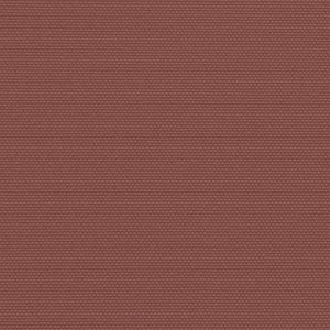 Tenda da Sole Laterale Retrattile Marrone 200x600 cm 4004659