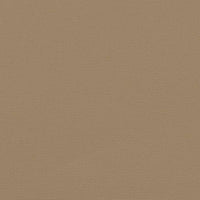 Tenda da Sole Laterale Retrattile Tortora 100x1000 cm 4004694