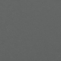 Tenda da Sole Laterale Retrattile Antracite 140x1000 cm 4004718