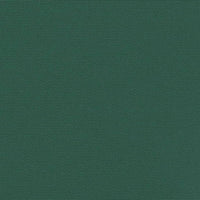 Tenda da Sole Laterale Retrattile Verde Scuro 140x1000 cm 4004725