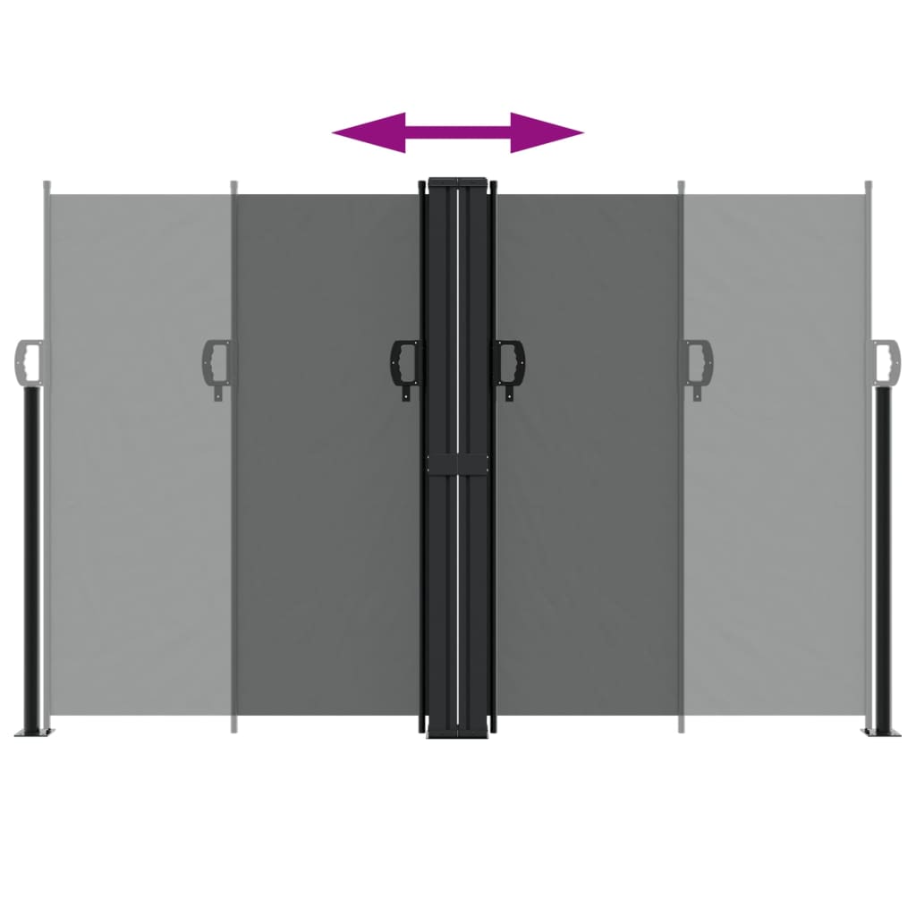 Tenda da Sole Laterale Retrattile Antracite 160x1000 cm
