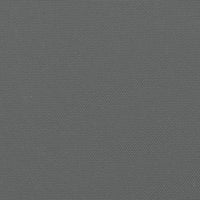 Tenda da Sole Laterale Retrattile Antracite 160x1000 cm 4004733