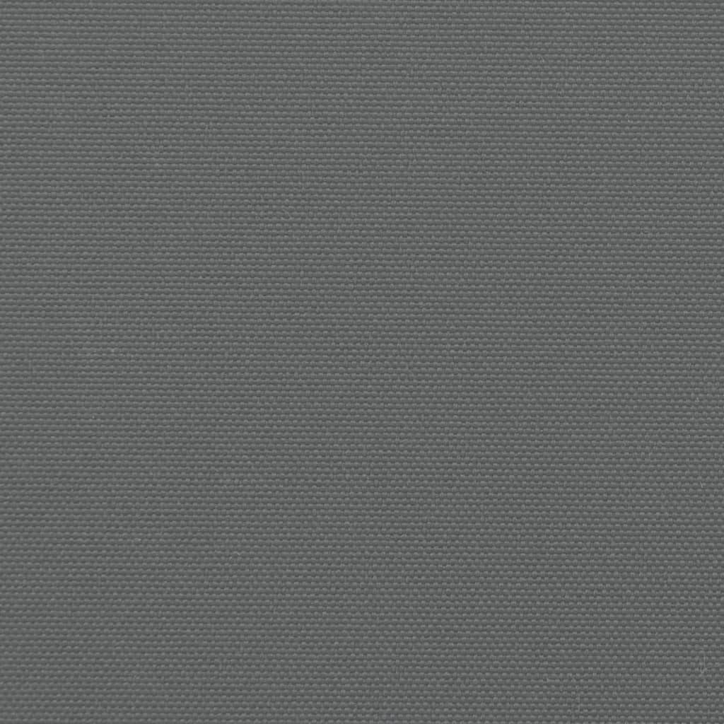 Tenda da Sole Laterale Retrattile Antracite 160x1000 cm