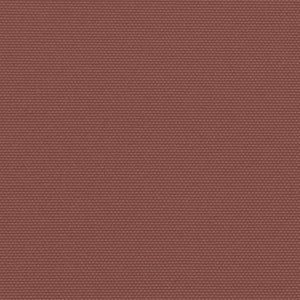 Tenda da Sole Laterale Retrattile Marrone 160x1000 cm 4004734