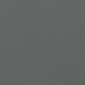 Tenda da Sole Laterale Retrattile Antracite 180x1000 cm 4004748