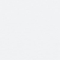 Tenda da Sole Laterale Retrattile Bianca 220x1000 cm 4004781