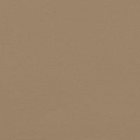 Tenda da Sole Laterale Retrattile Tortora 220x1000 cm 4004784