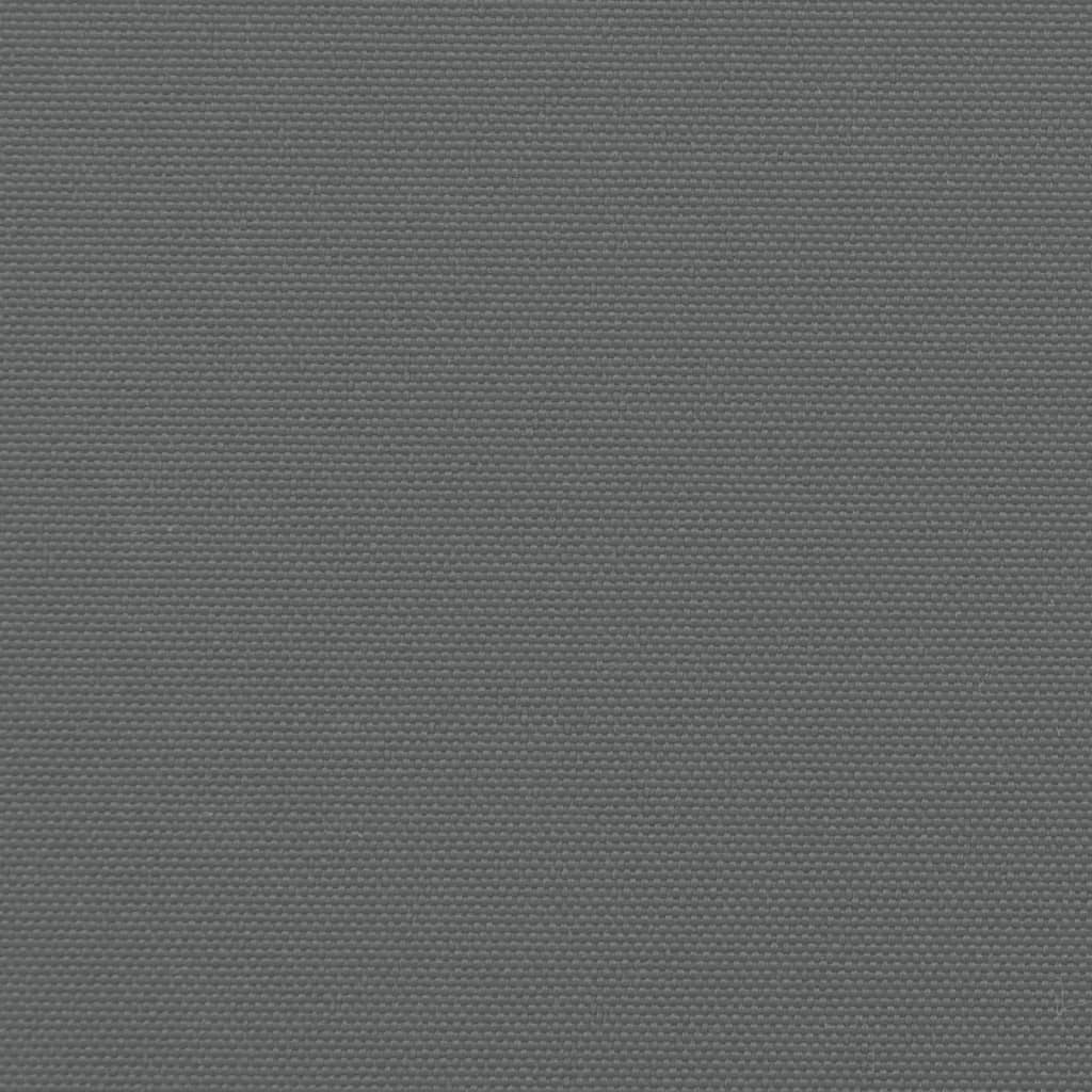 Tenda da Sole Laterale Retrattile Antracite 120x1200 cm 4004793