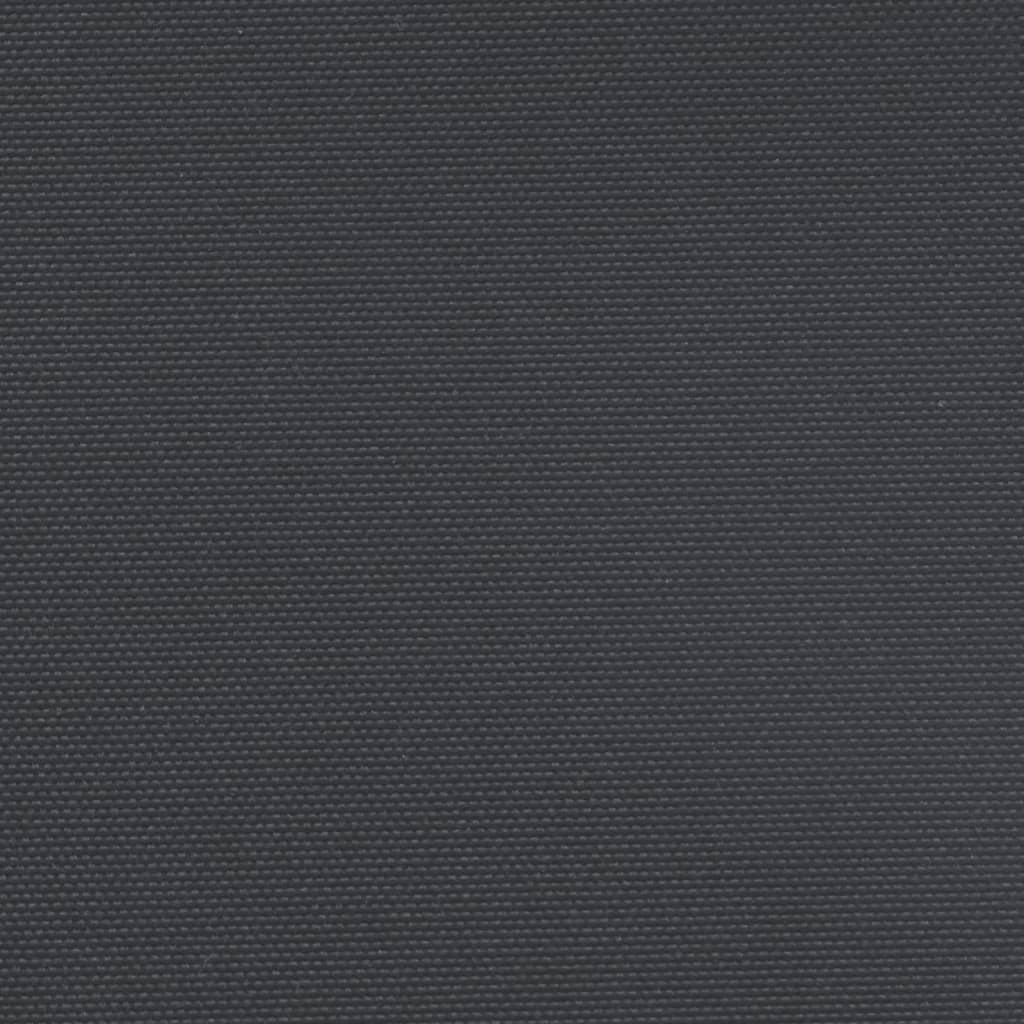 Tenda da Sole Laterale Retrattile Nera 140x1200 cm 4004804