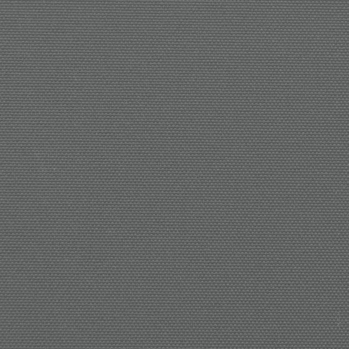 Tenda da Sole Laterale Retrattile Antracite 140x1200 cm 4004808