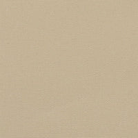 Tenda Laterale Retrattile Beige 140x1200 cm 4004810