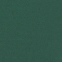 Tenda da Sole Laterale Retrattile Verde Scuro 140x1200 cm 4004815