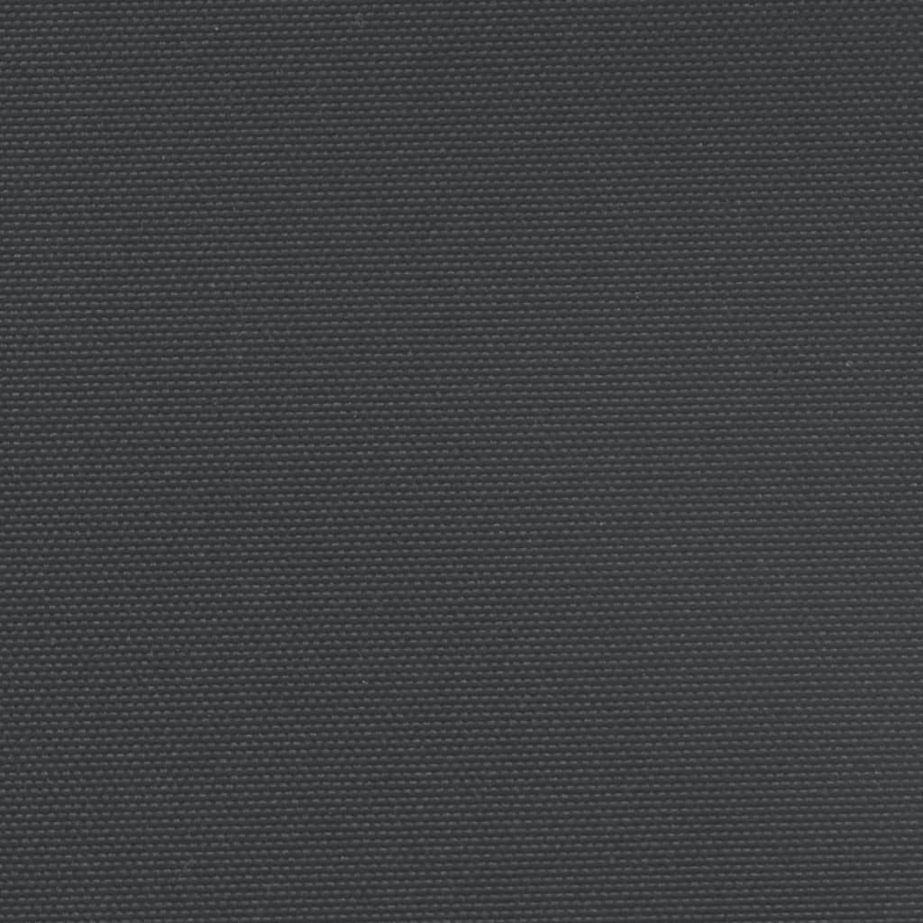 Tenda da Sole Laterale Retrattile Nera 160x1200 cm 4004819