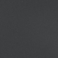 Tenda da Sole Laterale Retrattile Nera 160x1200 cm 4004819